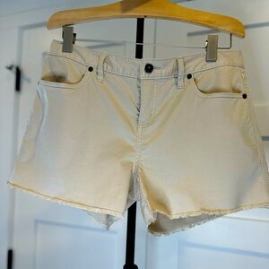 Carve Designs Maui Shorts